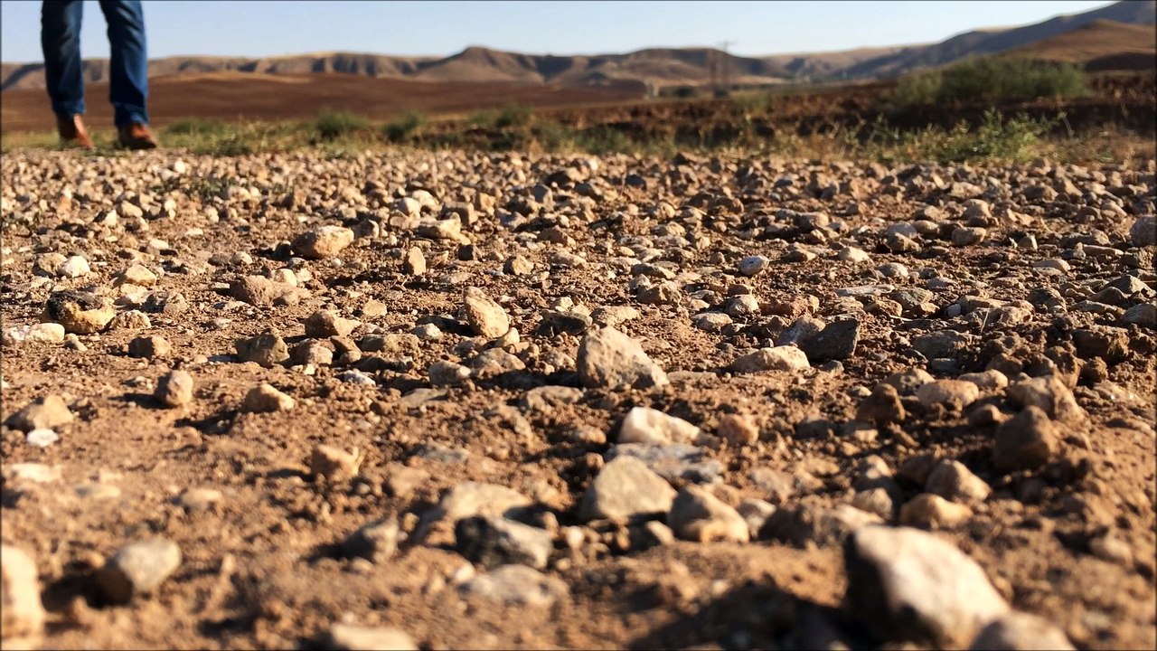 Hazirsaniz baslayalim mi?