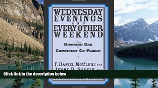 Big Deals  Wednesday Evenings And Every Other Weekend: From Divorced Dad To Competent Co-Parent