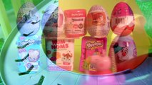 Surprise Bubble Guppies Stacking Cups Kinder Eggs My Little Pony NUM NOMS Frozen Shopkins Mashems