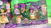 Sofia the First Buttercup Badges Play Doh Sofias Buttercup Troop Adventures Disney Princess