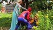 Frozen Elsa POOL SCARE! w/ Spiderman Pink Spidergirl Princess Anna Maleficent! Superhero Fun IRL