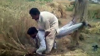 New Technology For Cutting Wheat in Kpk-Must Watch