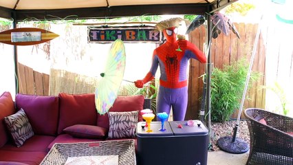 FROZEN ELSA IN JAIL vs Blue Spiderman Genie Vs Harley Quinn & Joker vs Pink Spidergirl and Ariel