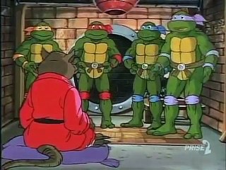 Tortues Ninja Les Chevaliers décaille S05E09 Napoléon