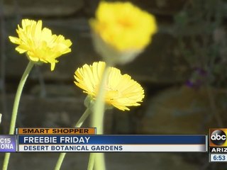 Freebie Friday: Games, movies and more