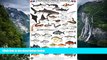 Big Deals  Panama Pacific Reef Fish Identification Guide (Laminated Single Sheet Field Guide)
