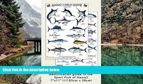 Big Deals  Hawaii Sport Fish Identification Guide (Laminated Single Sheet Field Guide) (Hawaii