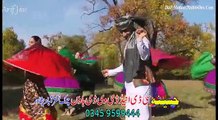 Zama Pata Pasi Jabi Shwa Vol 003 Nargis Ao Kainat Pashto New Dance Album 2016 Part-1