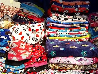 Desfile cívico estudiantil Guayaquil 2016