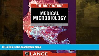 Online eBook Medical Microbiology: The Big Picture (LANGE The Big Picture)