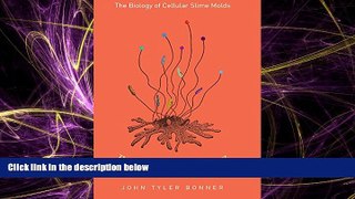 Popular Book The Social Amoebae: The Biology of Cellular Slime Molds