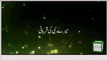 Mere Nabi ne kese qurbani ki by Maulana Tariq Jameel