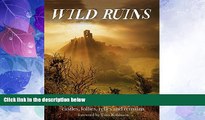 Big Deals  Wild Ruins: The Explorer s Guide to Britain Lost Castles, Follies, Relics and Remains