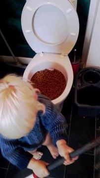 La grosse bétise de ce gamin qui a rempli les toilettes de croquettes pour chien