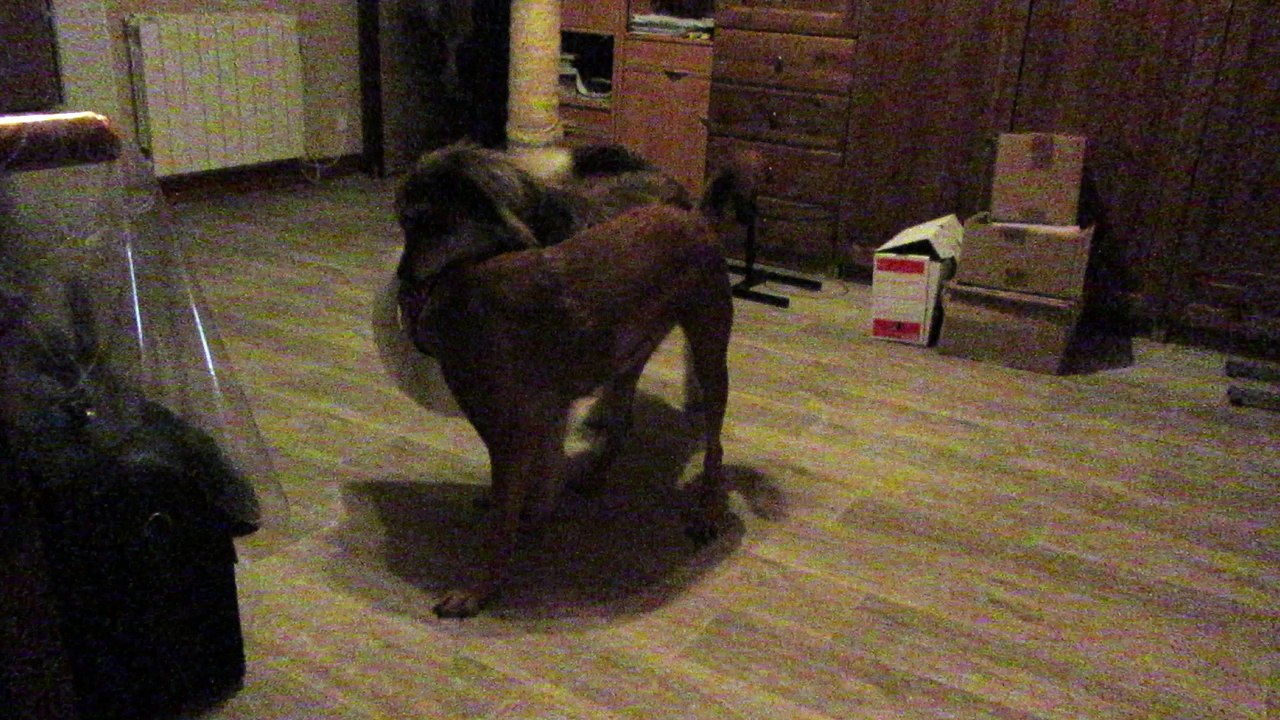 Babouche et Vanille - jeux