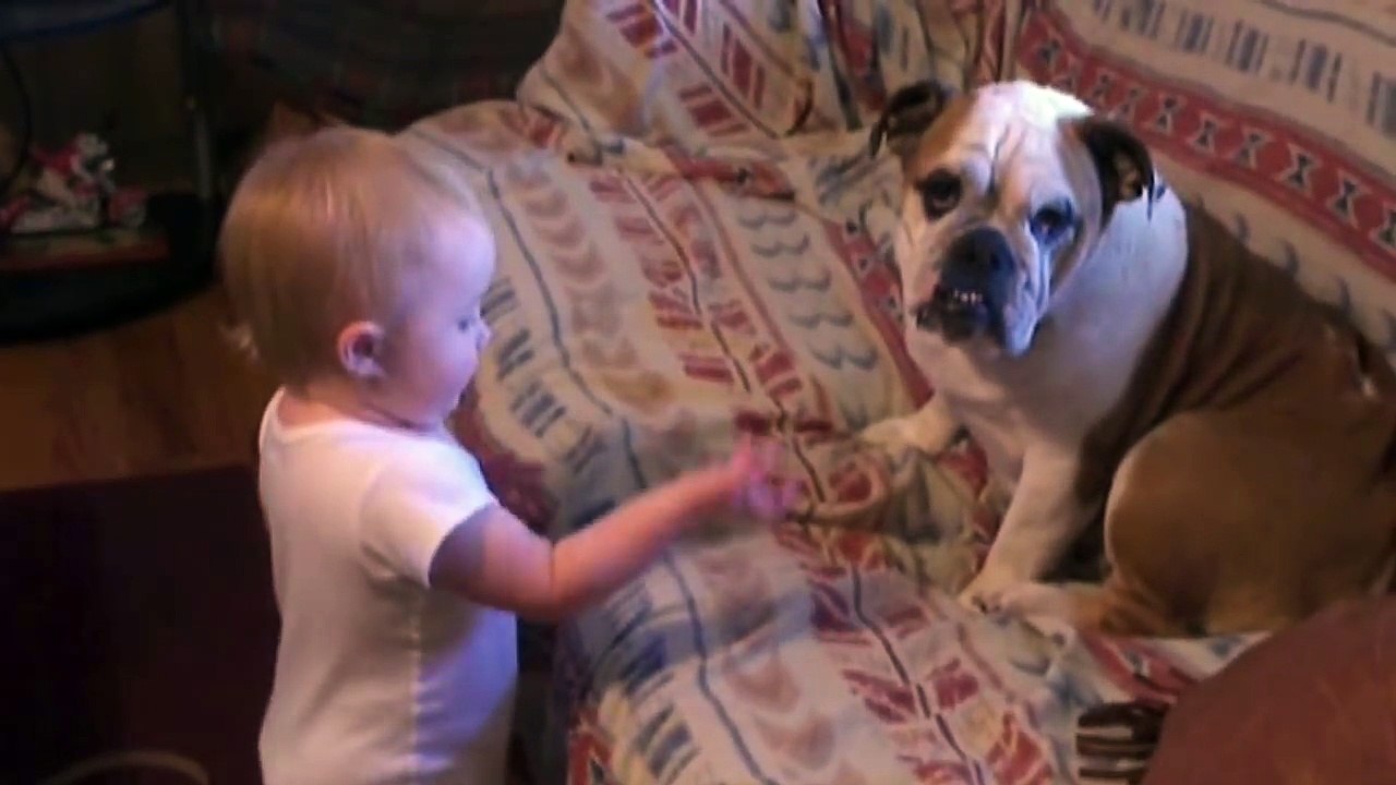 Baby Argues With Bulldog