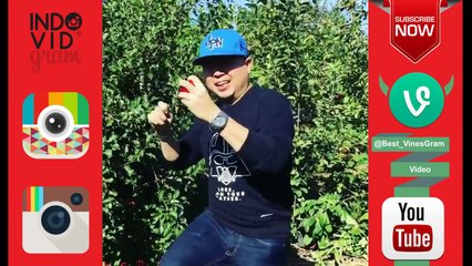 FUNNY PPAP [Pen Pineapple Apple Pen] PARODIES