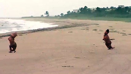 T-Rex sur la plage pendant l'ouragan Matthew en Floride... Les fous !