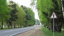 ПДД РФ | Знаки приоритета
