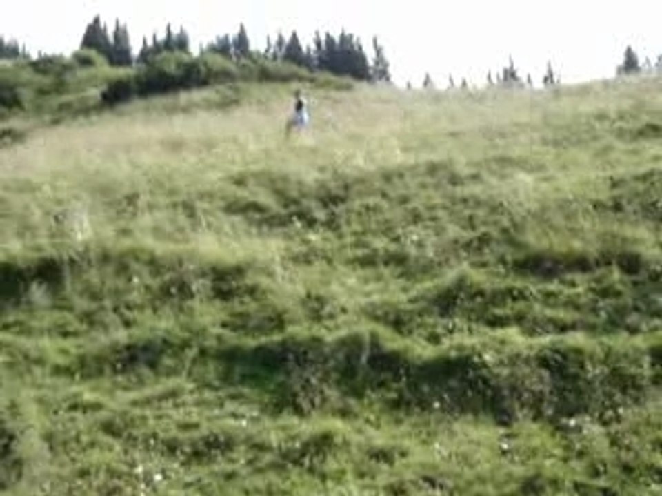 Chute de Margaux