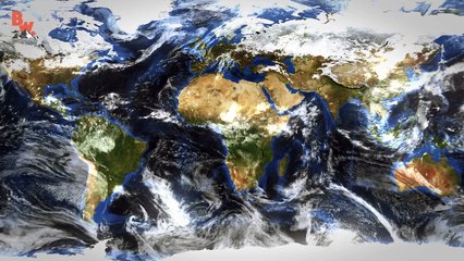 Coyote Discovers a Deadly Sea Snake