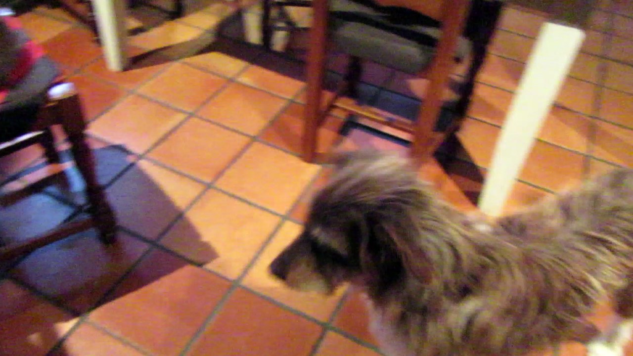 Babouche et les 3 chats - 2