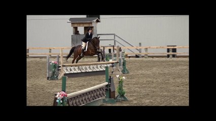 Compilation vidéos(3).Laurie R C en compétition équestre. Été 2016.