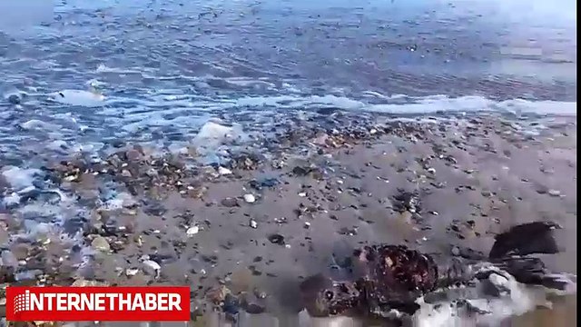 Sosyal medyayı sallayan denizkızı görüntüleri