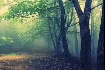 Hazrat salman farsi ki qaramat by Maulana tariq jameel