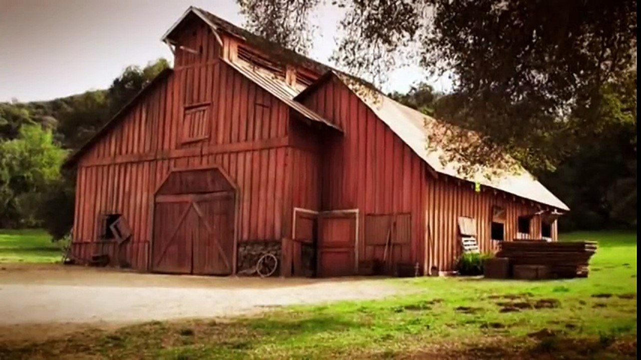 Trace Adkins - Brown Chicken Brown Cow