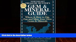 Big Deals  Northeast Treasure Hunter s Gem   Mineral Guide: Where   How to Dig, Pan and Mine Your