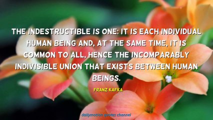 Franz Kafka Quotes #4