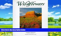 Big Deals  Wildflowers of the Plateau and Canyon Country  Full Read Most Wanted