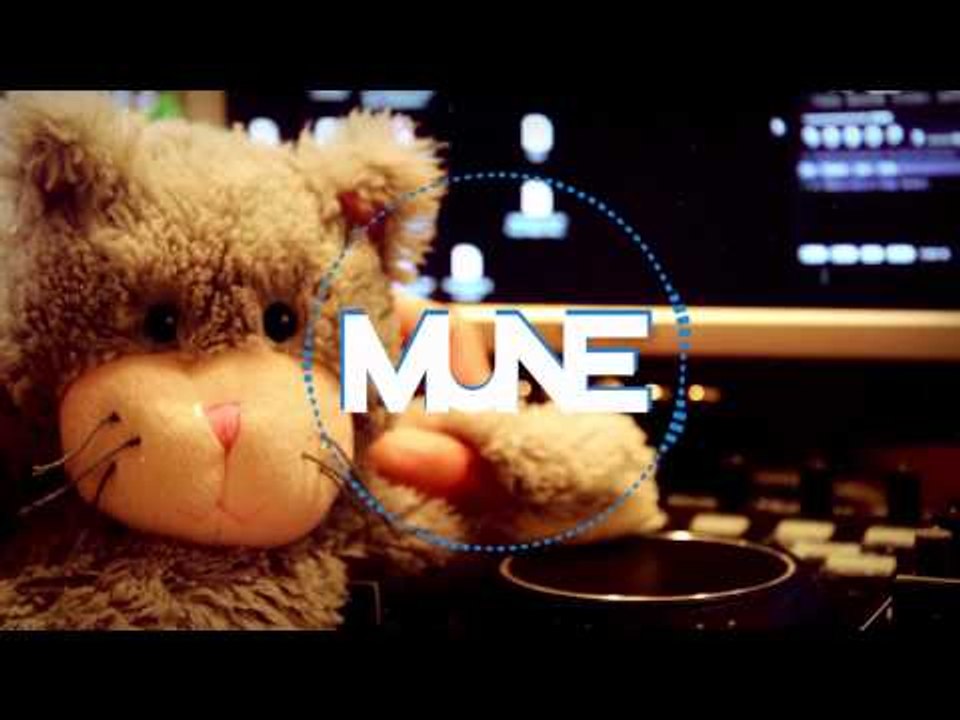 Virtual riot - mr. mittens groove