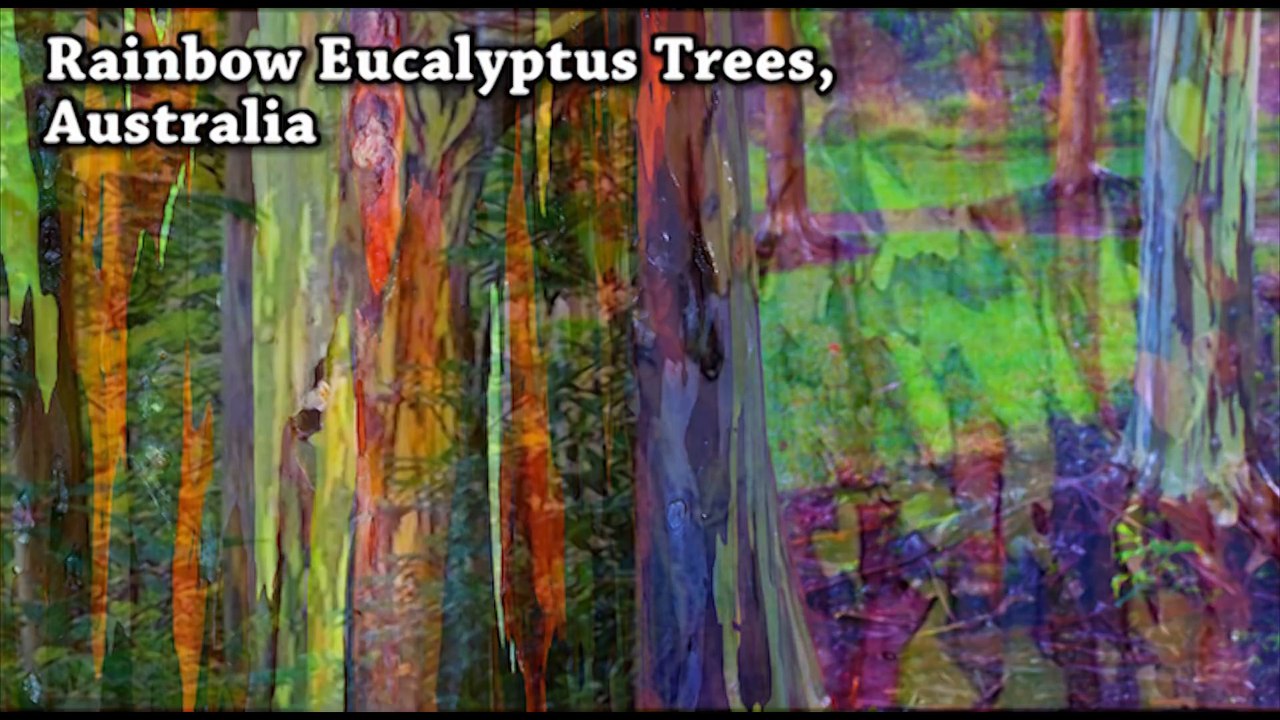 200 Amazing things in just 10 mins (#11) make me wonder