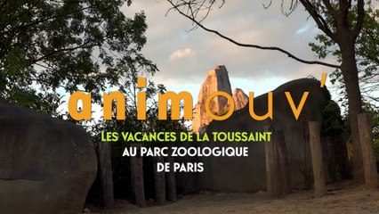 Animouv' : bougez pendant les vacances de la Toussaint 2016 !