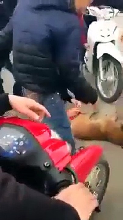 dog kaun