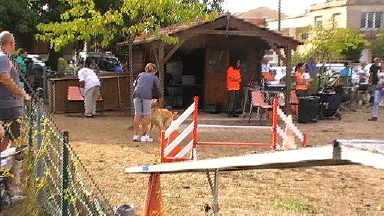 Agility Ollioules 2016