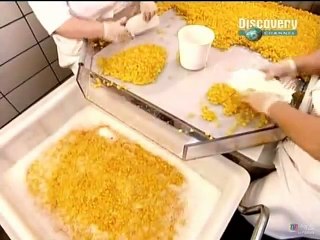 033 - O Segredo das Coisas - Yogurte