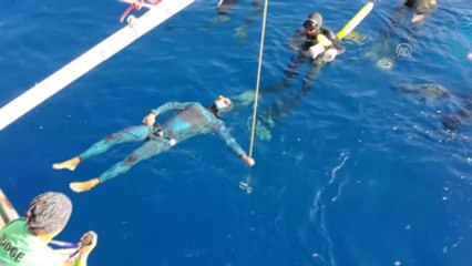 2. Dünya Serbest Dalış Şampiyonası Sona Erdi