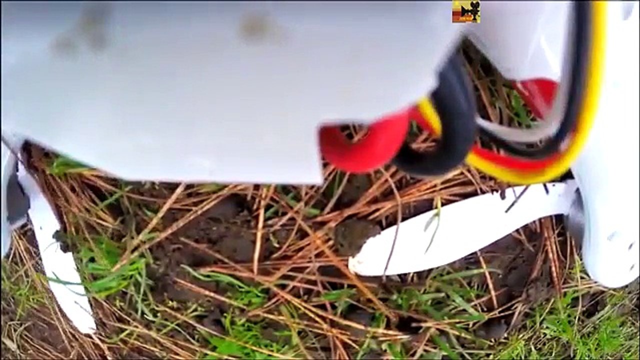 Attaque des animaux contres les drones