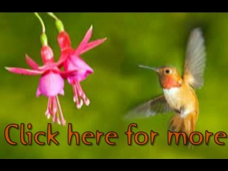 bakhsh deta hai Khuda unko jis qismat