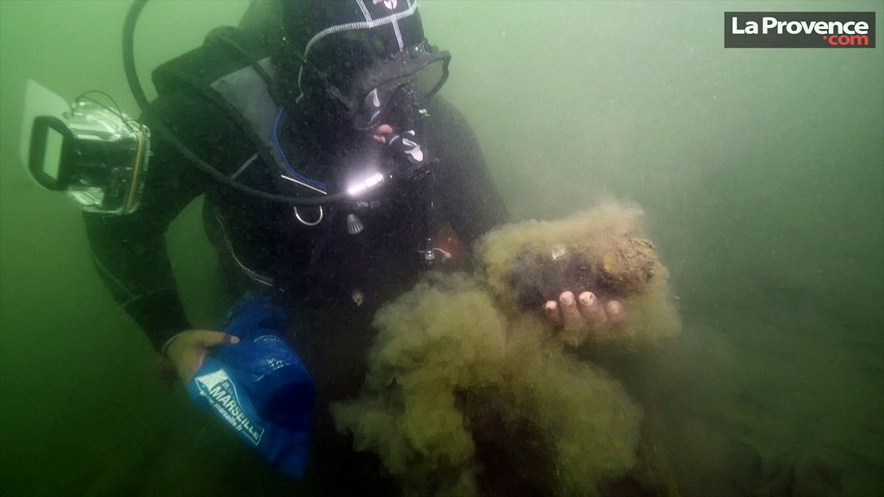 Marseille : ces plongeurs bénévoles ont nettoyé le Vieux-Port