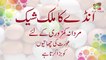 EGG Milkshake for Mardana Kamzori Ka ilaj Full Taqat & Breast Enlargement Health Tips in Urdu Hindi