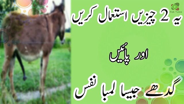 Gadhy Jitna Lamba Lun Pao★nafs ko lamba karne ka tarika★Nutrition Care Fitness Good Health Tips Urdu