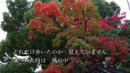 明日の前に／吉田拓郎