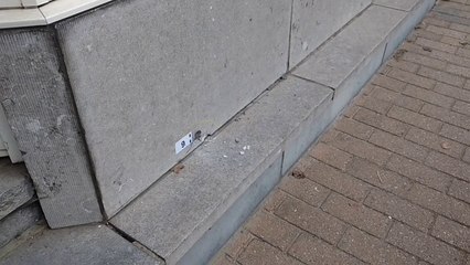 Meurtre à la kalachnikov: des impacts de balles dans les vitres des voisins