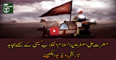 Hazrat Ali Asghar as: The Youngest Child of Imam Husain as Martyred in karbala