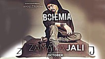 Aaj Kal Zamana Jali Video Song (OFFICIAL) Bohemia - Skull & Bones