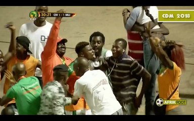 Côte d'Ivoire vs Mali (3-1) - Eliminatoires CDM 2018